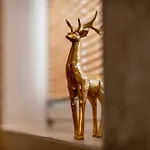 Apartment Fankhauser
