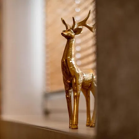 Apartment Fankhauser