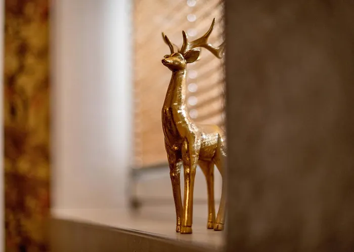 Appartement Fankhauser