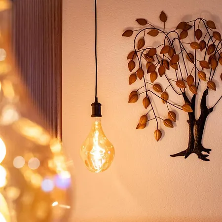 Fankhauser * Майрхофен